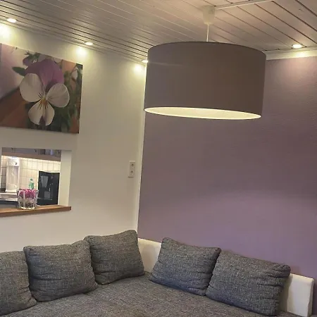 Mit Gartenblick 아파트 호프가이스마